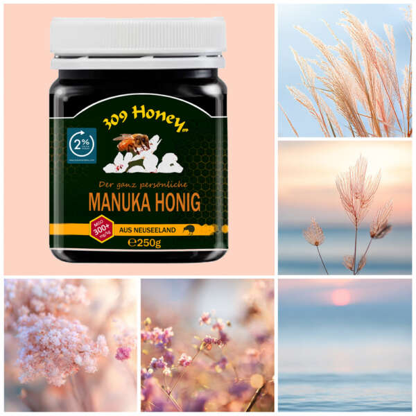 Manuka Honig MGO 300+ – Bild 2
