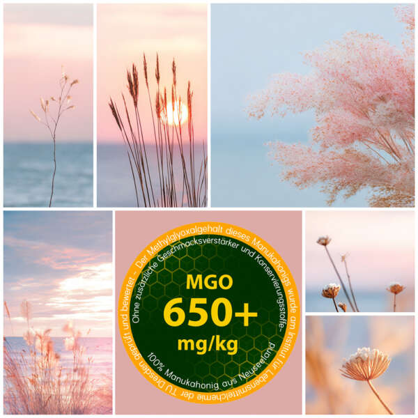 Manuka Honig MGO 650+ – Bild 3