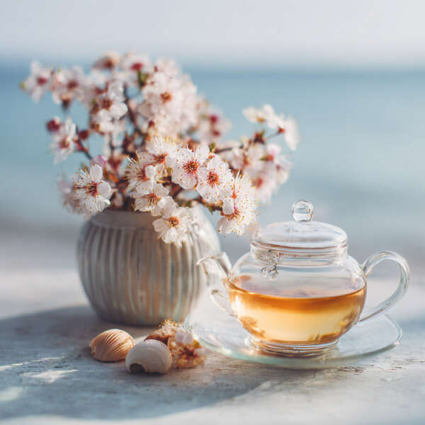 JD Manuka Tee – Bild 3