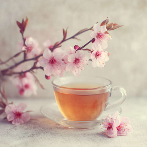 JD Manuka Tee – Bild 5